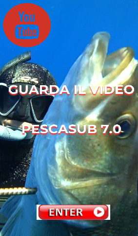 bott guarda il video pescasub 7 0