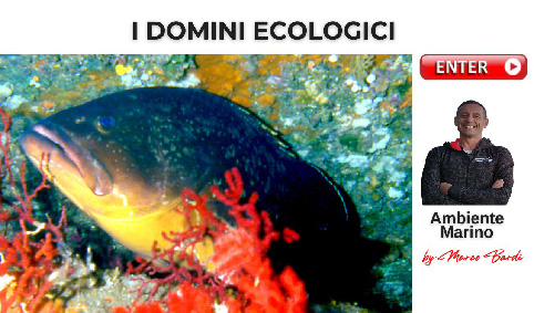 bott i domini ecologici