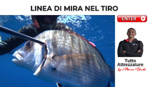 bott linea di mira