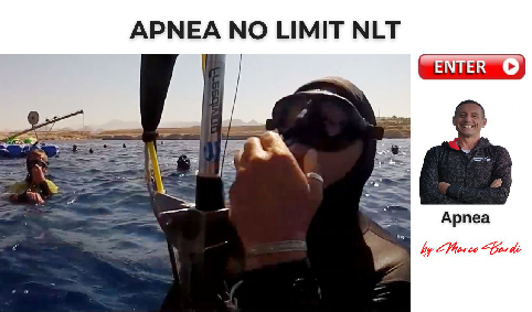 bott no limit