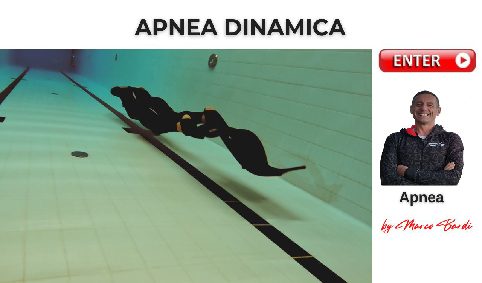 botton apnea dinamica