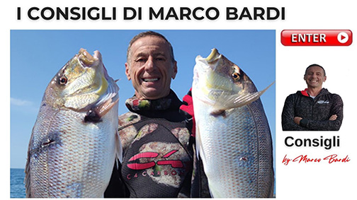 bottone Consigli di marco bardi