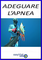bottone adeguare lapnea