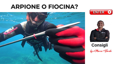bottone arpione o fiocina ok