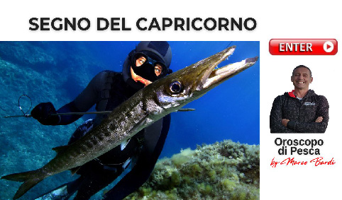 bottone capricorno