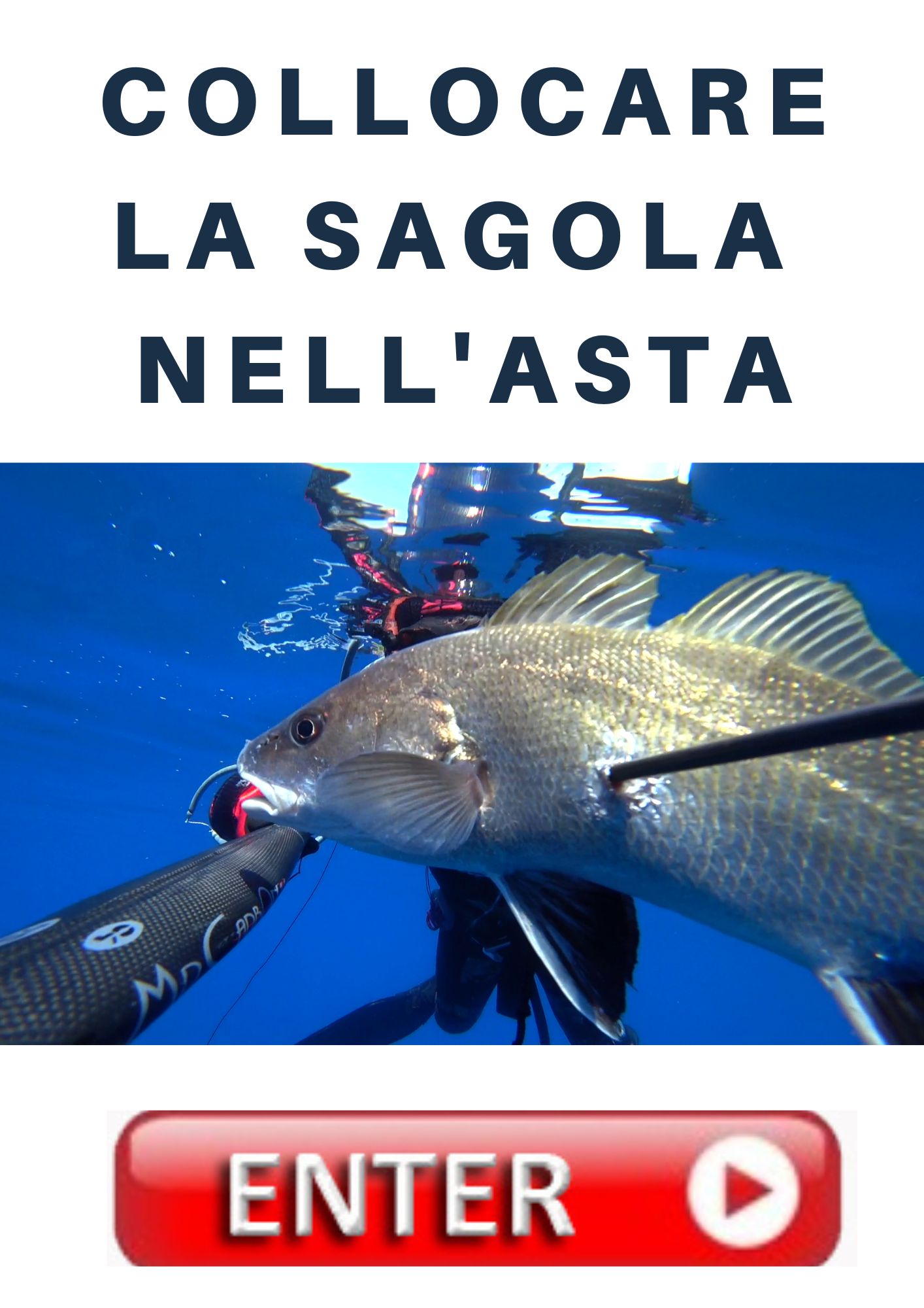 bottone collocare sagola