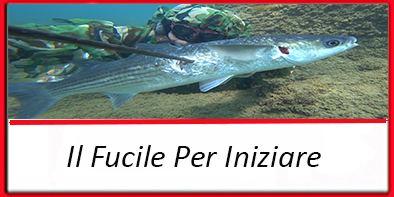 bottone il fucile per iniziare