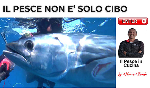 bottone il pesce non è solo cibo 02