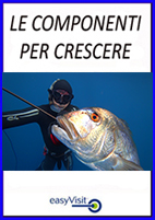 bottone le componeneti per crescere