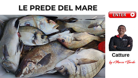 bottone le prede del mare ok