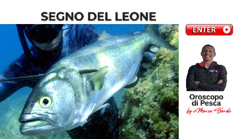bottone leone