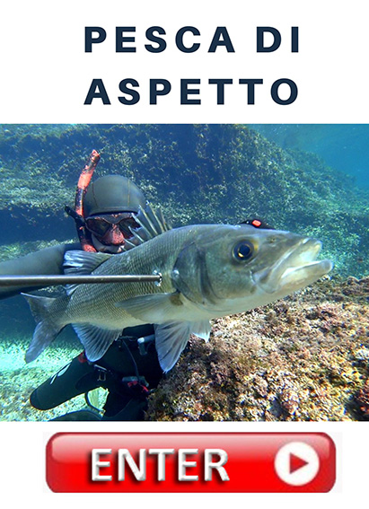 bottone pesca allaspetto