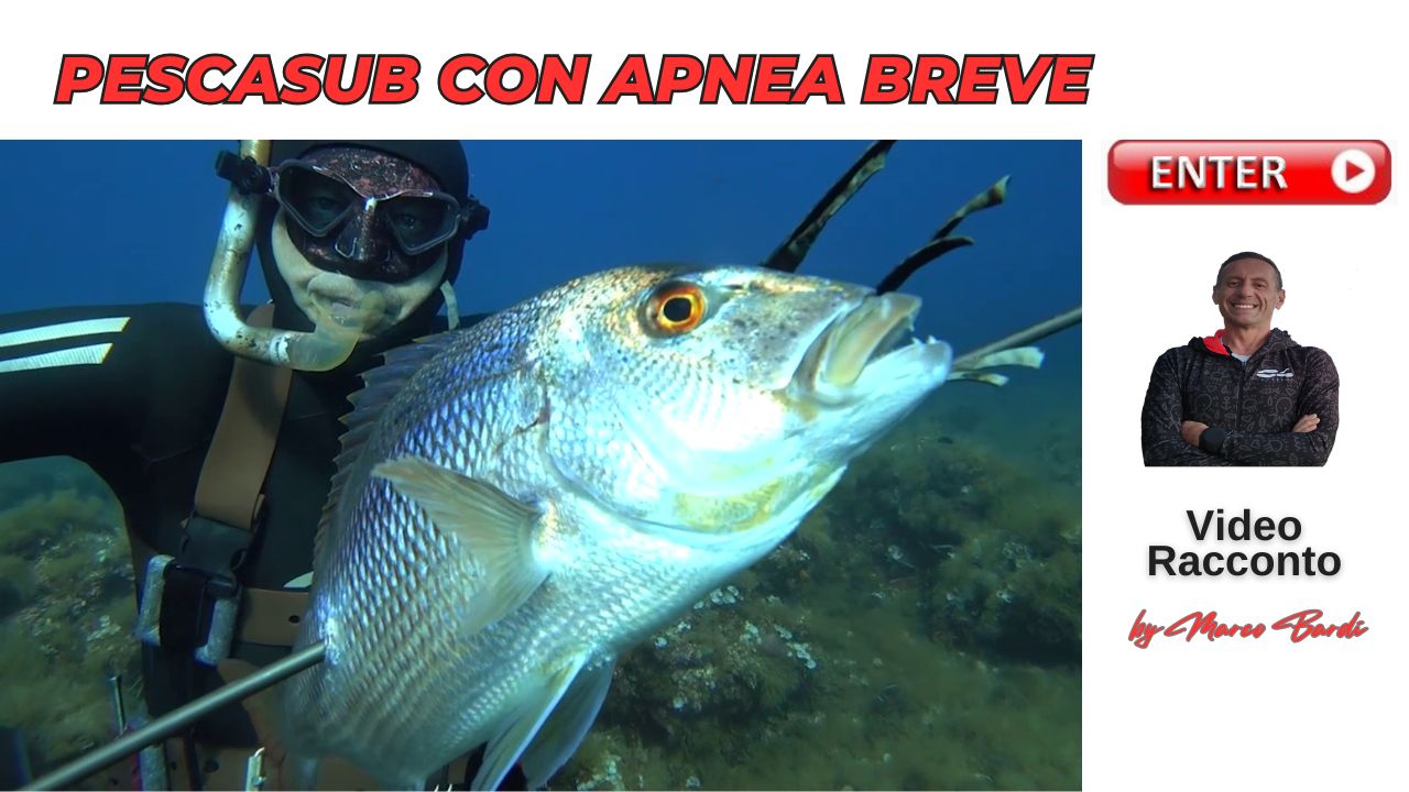 bottone pesca con apnea breve 2