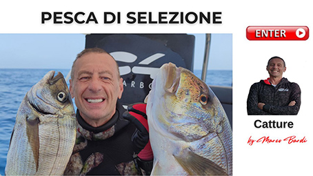 bottone pesca di selezione ok