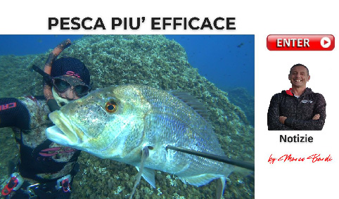 bottone pesca efficace