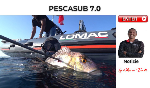 bottone pescasub 7 0