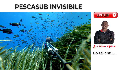 bottone pescasub invisibile ok