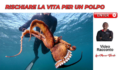 bottone rischiare la vita
