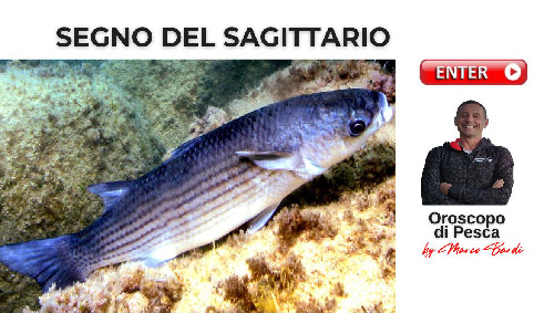 bottone sagittario