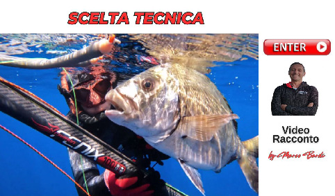 bottone scelta tecnica