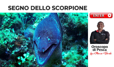 bottone scorpione