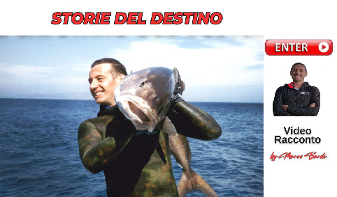 bottone storie del destino