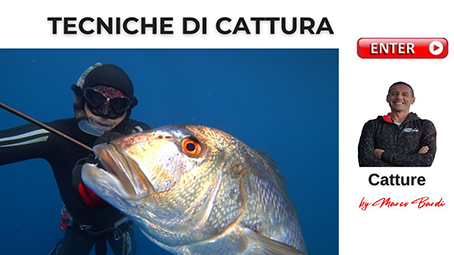 bottone tecniche di pesca
