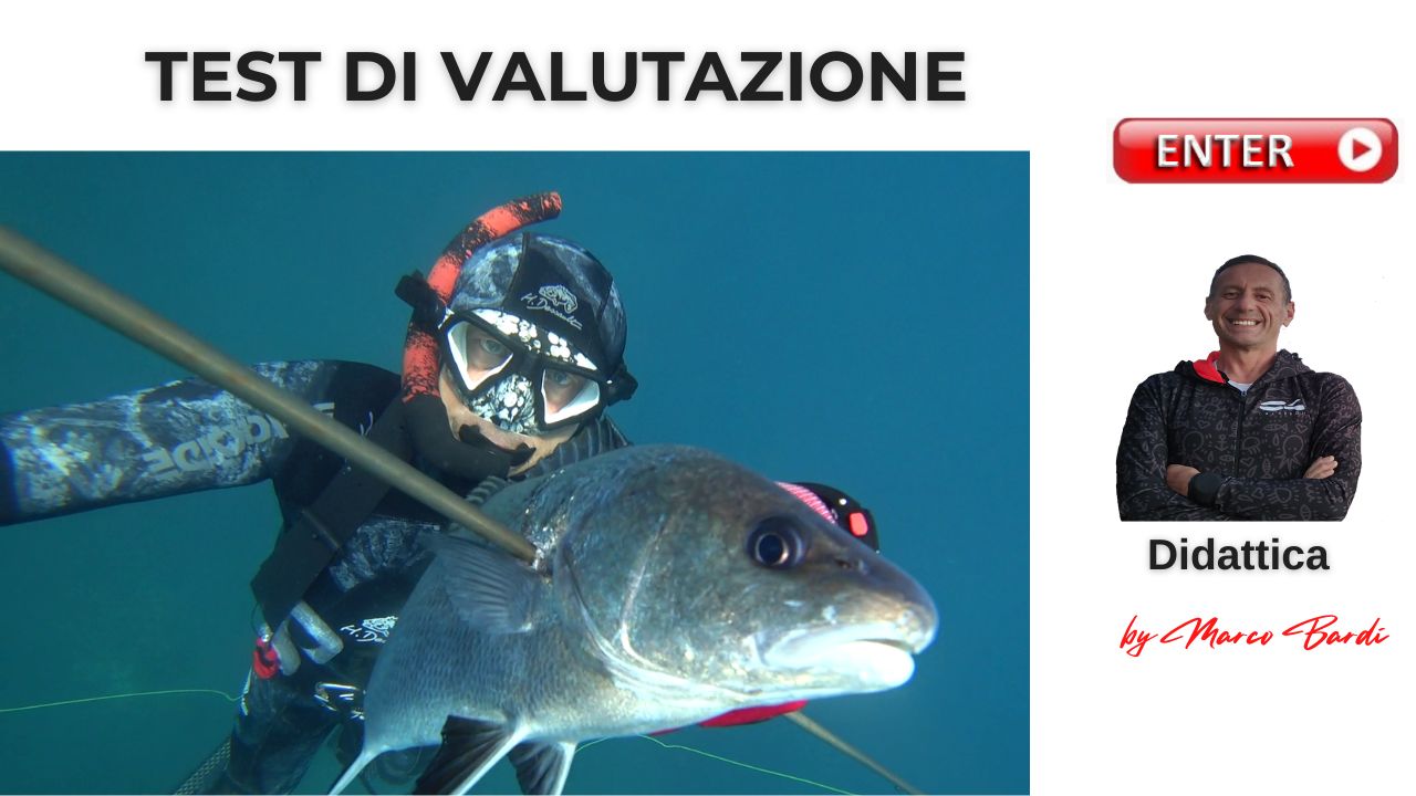 bottone test di valutazione