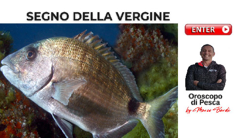 bottone vergine ok