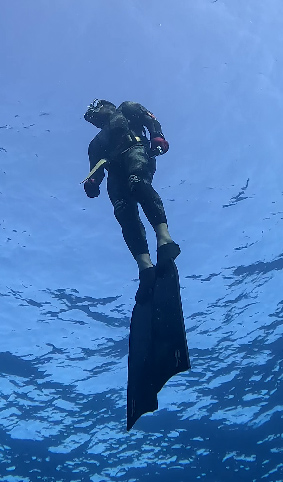 diving reflex 2