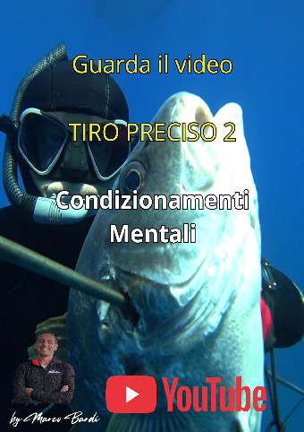 guarda il video 2