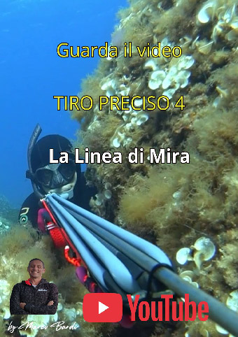 guarda il video 4 linea di mira