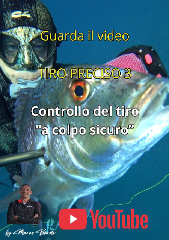 guarda il video controllo tiro