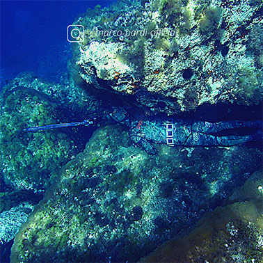 la mia pesca agguato 02