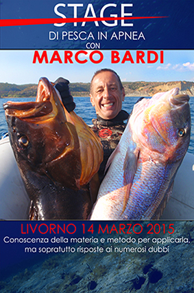locandina Livorno 2015