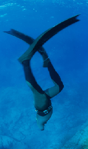 ma 50 1
