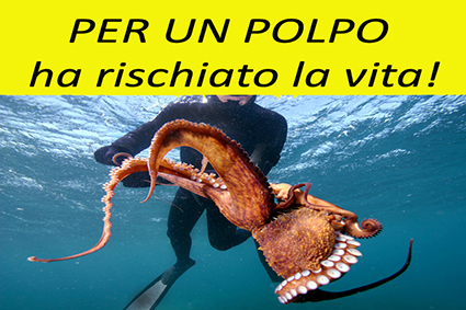 per un polpo 01