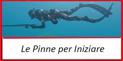 pinne per iniziare