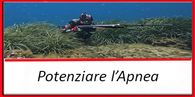 potenziare apnea
