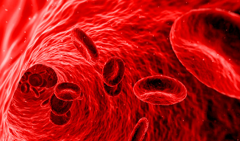 sangue