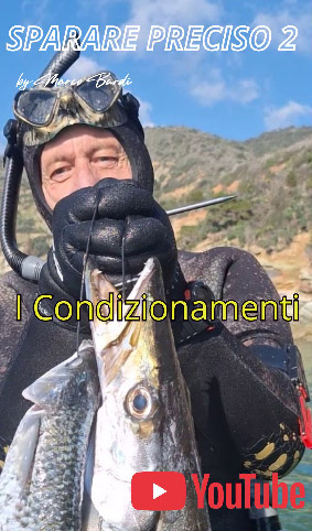 sparare preciso 2 i condizionamenti