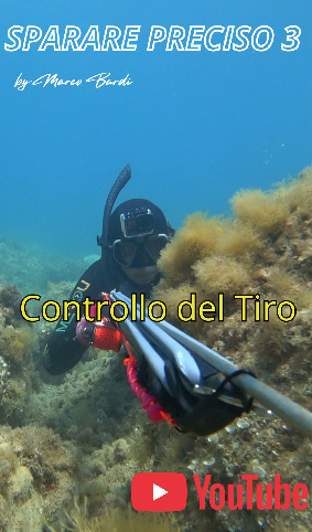 sparare preciso 3 controllo del tiro