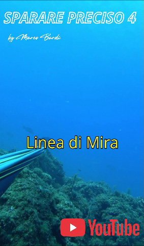 sparare preciso 4 Linea di Mira