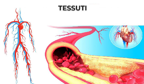 tessuti