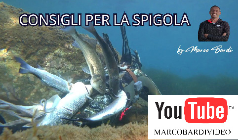 video spigola
