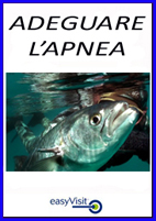 BOTT ADEG APNEA