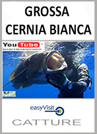 BOTT CERNIA BIANCA