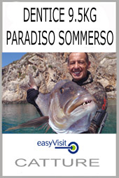 B DENTICE PARAD SOMM