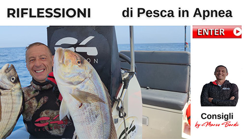 Bottone Riflessioni di pesca in apnea