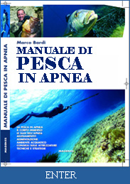 GUARDA IL LIBRO